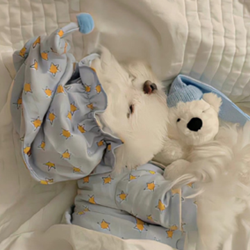 �����Ѷ��Լ��ܺõ��Ҹ�˵˵ ������ĺ�����Ҹ��̾�