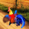 �����ܿ�v1.0.2 ��׿��