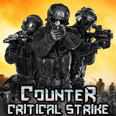 陆军特种部队Counter Critical Strike CS