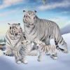 Ұ׻ͥģWild White Tiger Family Sim