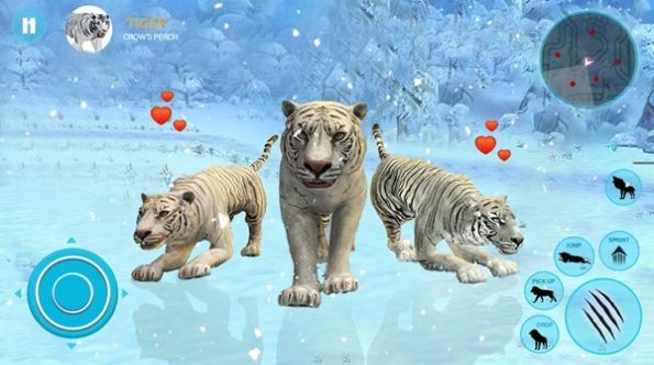 Ұ׻ͥģWild White Tiger Family Simv1.0 İ