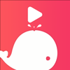 į��appv1.0.3 �ٷ���