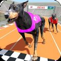 赛狗锦标赛Dog Racing Championshipv1.1 安卓版