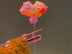 �����ʮ���˵˵��ͼƬ ������Ĺ��ھ����˵˵