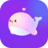 ����appv1.9.0.1 ���°�