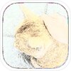 克斯多诺逐神奏v1.70L_06 官方版
