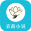 ����С˵appv4.03.00 ��׿��
