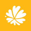 ������̬��ֽappv1.1.4 �ٷ���