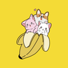 ��Ƥappv1.0.5 ���°�