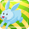 ���ӿ�bunnyrunv1.0.0 ��׿��