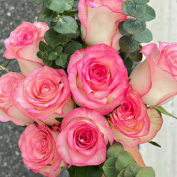 �о����۵�ʱ����Է�����Ȧ�ľ��� ����ƣ����İ���ȫ