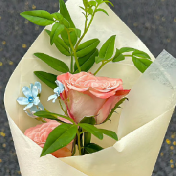 �о����۵�ʱ����Է�����Ȧ�ľ��� ����ƣ����İ���ȫ