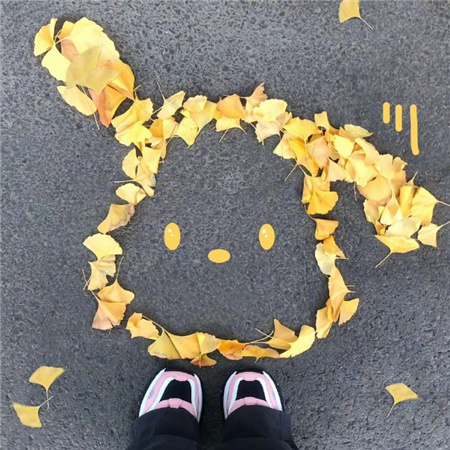 ������Ƥ������Ÿ��Ҷ��ͼ ���ù��۸��������Ÿ��Ҷ��