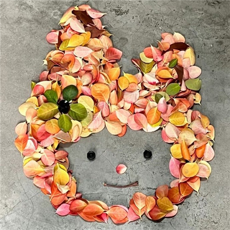 ������Ƥ������Ÿ��Ҷ��ͼ ���ù��۸��������Ÿ��Ҷ��