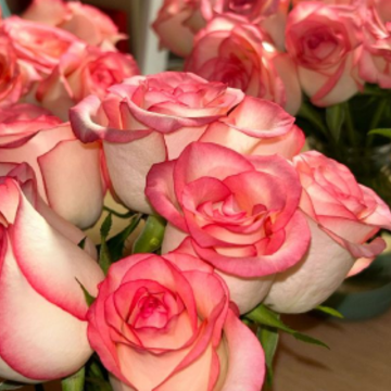 �����Լ�Ҫ���ֵ�ǩ�� Ҫ���Ĺ���ÿһ���ǩ��