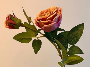 δ��̹���������Ե�˵˵ Ըδ���������õľ���