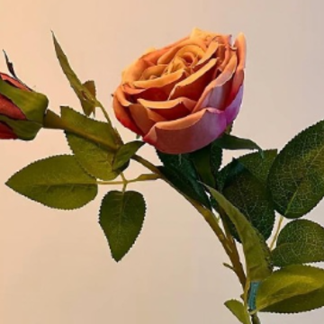 δ��̹���������Ե�˵˵ Ըδ���������õľ���