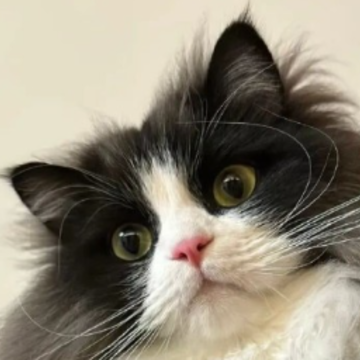 �మȴ���ܽ���˵˵ �˴�ϲ��ȴ�����ߵ����Ķ̾�