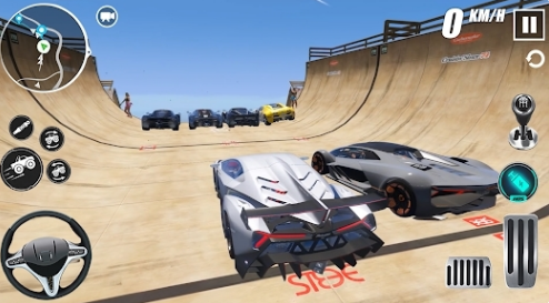 ������ʻģ��������3D(Car Driving Simulator: Race 3D)