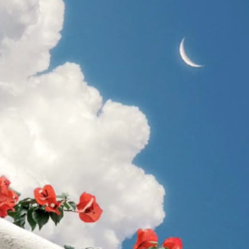 �յ����﷢Ȧ΢���İ� �յ�ϲ������Ŀ��Ķ̾�