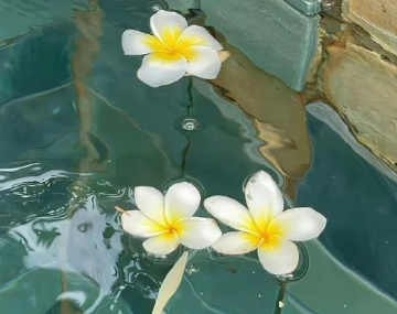 �����Ӱ�С�ڸ���ǩ�İ� ֵ�÷�����ǩ���ɾ�