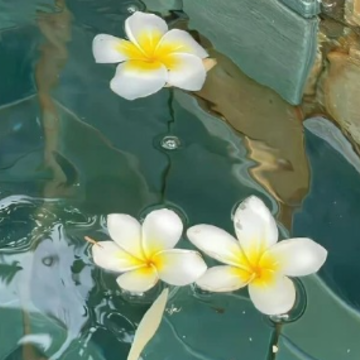 �����Ӱ�С�ڸ���ǩ�İ� ֵ�÷�����ǩ���ɾ�