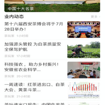 茶玩家 茶玩家