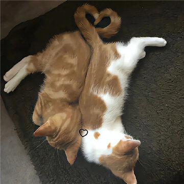 �߶�����ϵ�е���ͼ��ȫ �ÿ��߼�΢�ž�ͼ����������