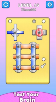 ��˿����ĸ(Screw Pin Nut Puzzle Games)