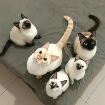 ������͸���õ�����ǩ�� �ķ����ҵ�ǩ����ȫ
