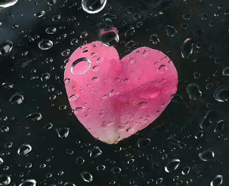ʮ���������˵�˵˵ ��һ��ʮ���˷��ֵĶ̾�