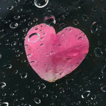 ʮ���������˵�˵˵ ��һ��ʮ���˷��ֵĶ̾�