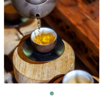 茶虫窝 茶虫窝