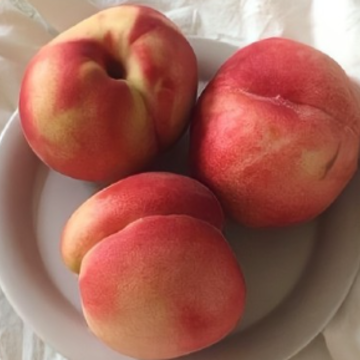 �����������ٽ��͵�˵˵ ����ѧ��úð��Լ�����¼