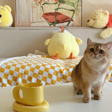 �������˹�ע�ĺ����ǳ� �����ҳ������˵�С���ǳ�
