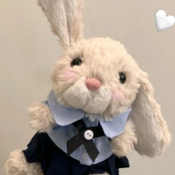 �ʺ������õ��������д��� ����ʱ�õĿɰ������ǳ�