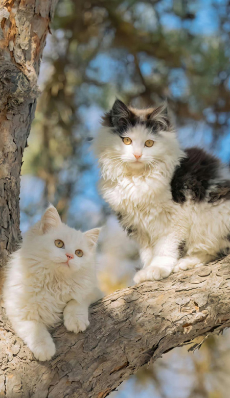 ���������ղص�ȫ�����ر�ֽ�ϼ� �¿������ÿ���ֽ����