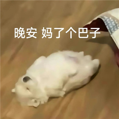 ���ܾ���Ȥζ��ɳ����� �������˸�����