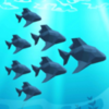 �����ռ���3D(fishcollector3d)v1.0.21 ��׿��