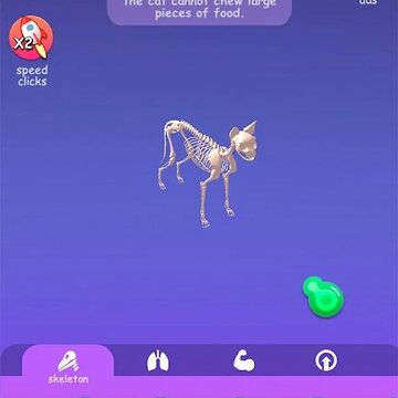 ���ö����и�