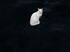 ��Ȥ���ر�������Ȧ����ǩ�� һ�仰���ܲ�����