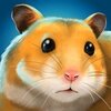�ҵĶ��������PetHotelv1.0.19412 ��׿��
