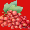 �Ϲ�Ʈ��v1.2.21 ��׿��