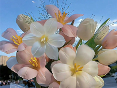 �˴��మ�Ż������ϧ��˵˵ �����మ��ϧ�ĺþ���