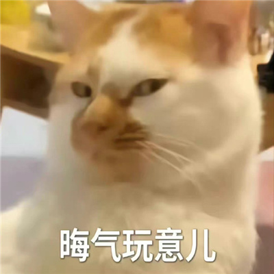 ʹ���ʽϸߵı����ȫ ��������