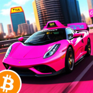 ��ɫ����������Passengers City Taxi Driver 3D��v1.2 ��׿��