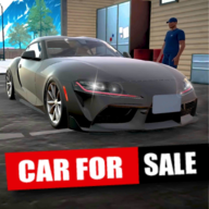 ӡģ(Car Saler Simulator 2023)v1.1.0 İ