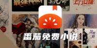 ����С˵