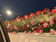 ��������ʮ���������İ� ������ʮ�������������¼