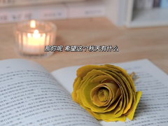 ��벻Ҫ���ƽϵ�˵˵ û��Ҫ�ƽ�̫��Ķ̾�